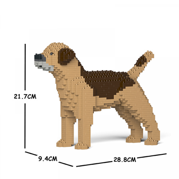 Border Terrier beige-braun