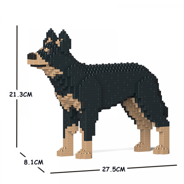 Australischer Kelpie