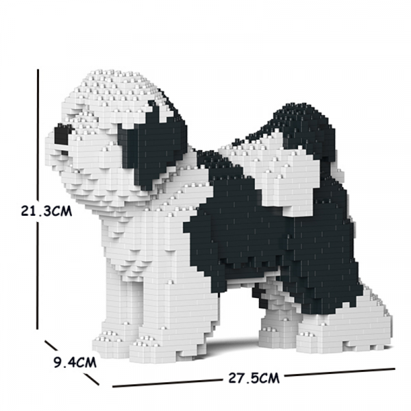 Tibetischer Terrier schwarz-weiß