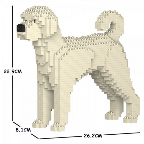 Labradoodle cremeweiß