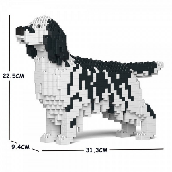 English Setter weiß-schwarz