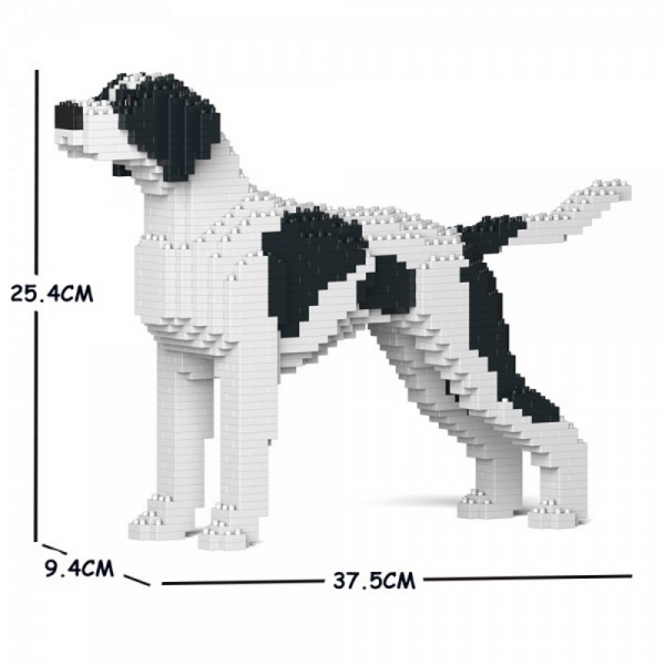 English Pointer weiß-schwarz