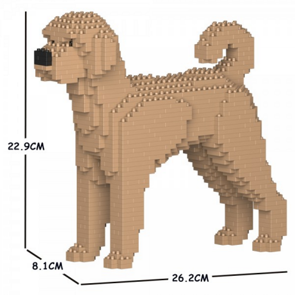 Labradoodle beige