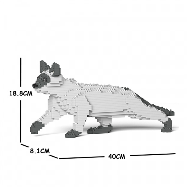 Siamesische Katze schleichend + weiß-grau