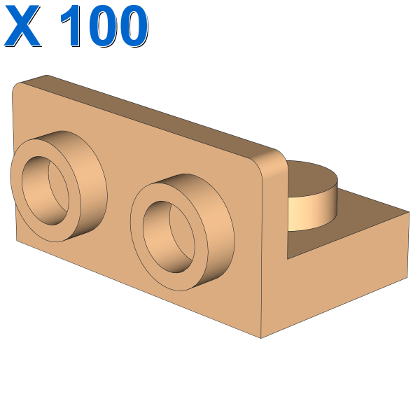 ANGULAR PLATE 1.5 BOT. 1X2 1/2 X 100