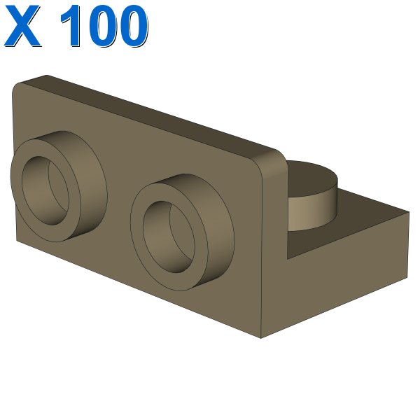 ANGULAR PLATE 1.5 BOT. 1X2 1/2 X 100