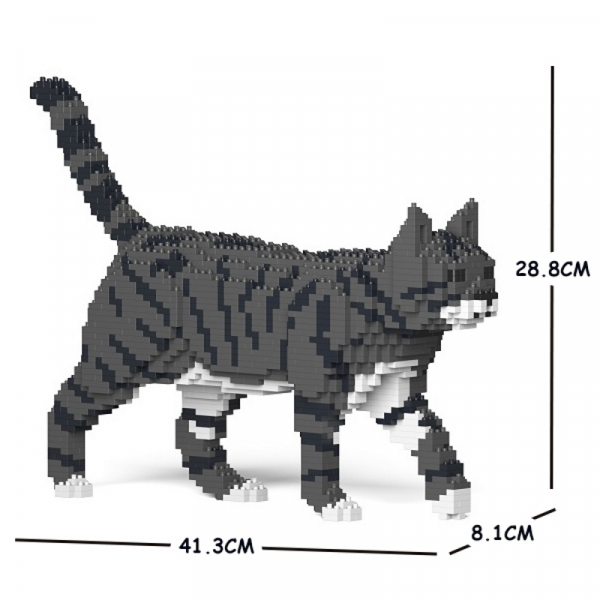 Katze laufend + grau/weiß