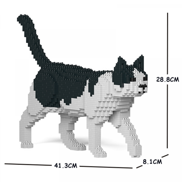 Katze schwarz & weiß + laufend