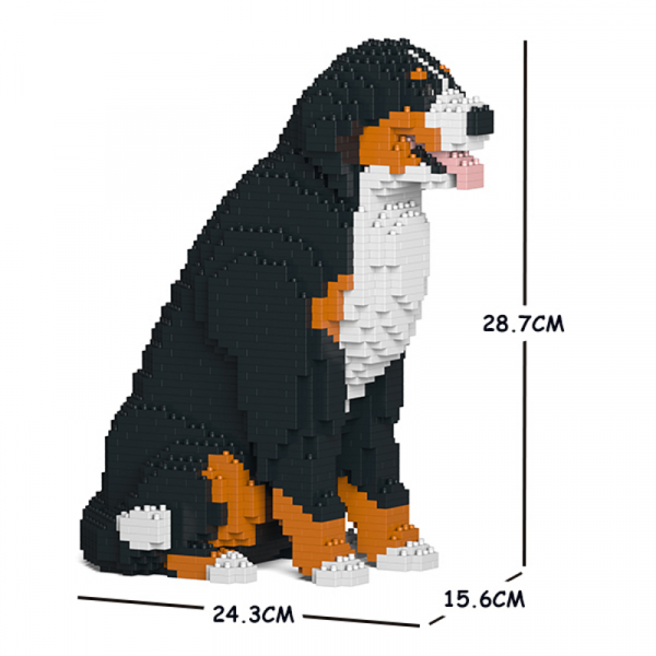 Bernese Mountain Dog 04S