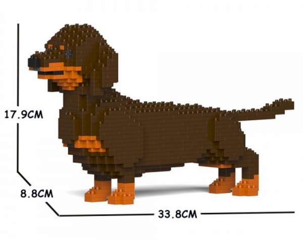 Dachshund  brown