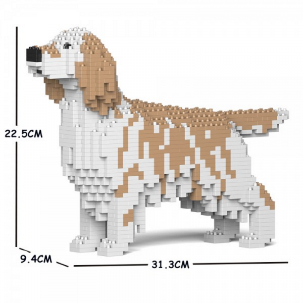 English Setter